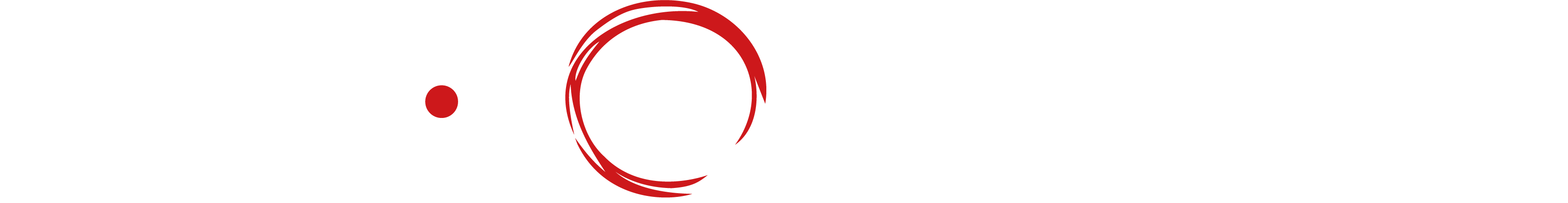 Sushi Palace Logo